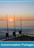 accommodation packages